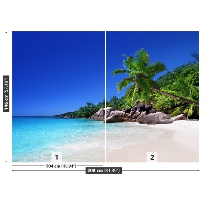 Fotobehang Seychellen beach