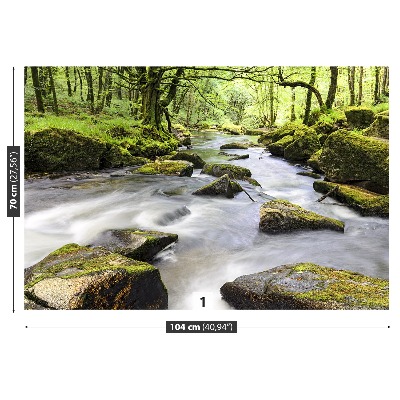 Fotobehang Fowey rivier