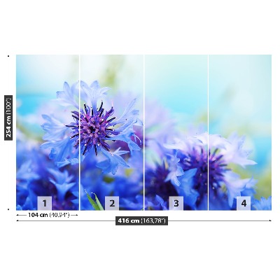 Zelfklevend fotobehang Blauwe korenbloemen