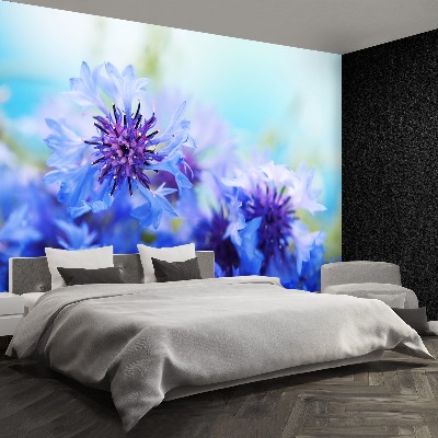 Zelfklevend fotobehang Blauwe korenbloemen