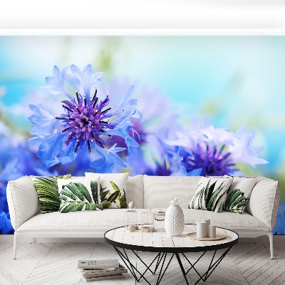 Zelfklevend fotobehang Blauwe korenbloemen