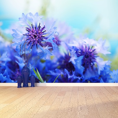 Zelfklevend fotobehang Blauwe korenbloemen