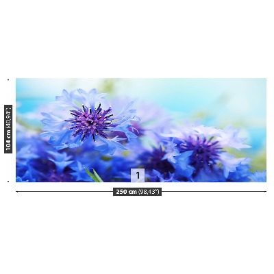 Zelfklevend fotobehang Blauwe korenbloemen