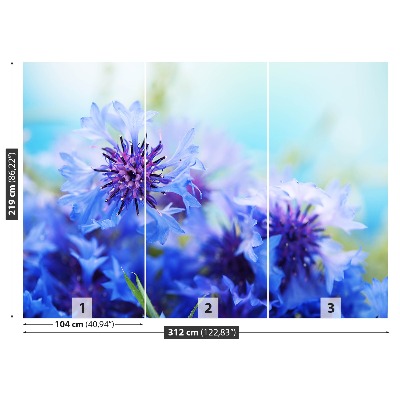 Zelfklevend fotobehang Blauwe korenbloemen