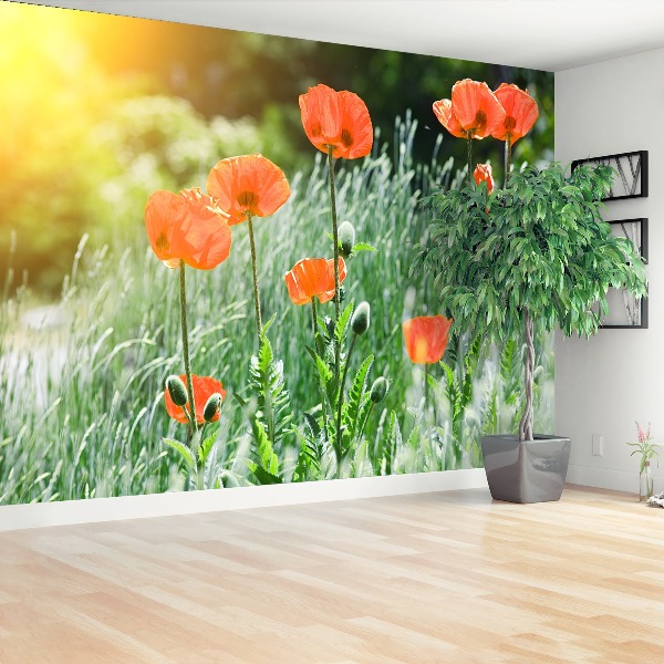 Zelfklevend fotobehang Poppy bloemen