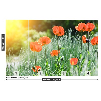 Zelfklevend fotobehang Poppy bloemen