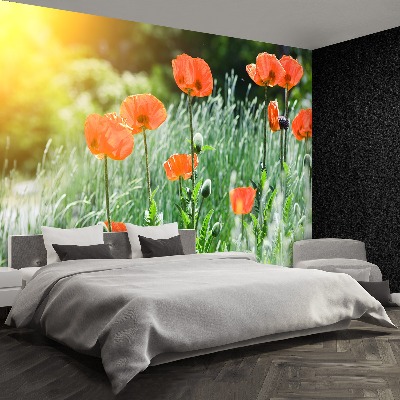 Zelfklevend fotobehang Poppy bloemen