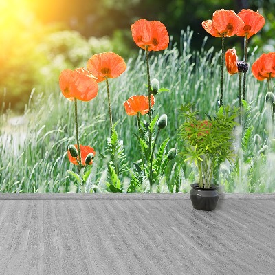 Zelfklevend fotobehang Poppy bloemen