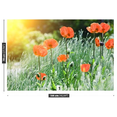 Zelfklevend fotobehang Poppy bloemen