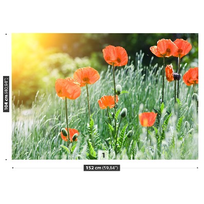 Zelfklevend fotobehang Poppy bloemen