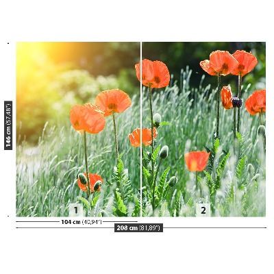 Zelfklevend fotobehang Poppy bloemen