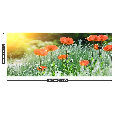 Zelfklevend fotobehang Poppy bloemen