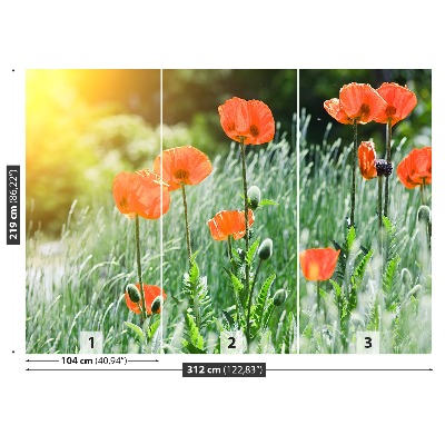 Zelfklevend fotobehang Poppy bloemen