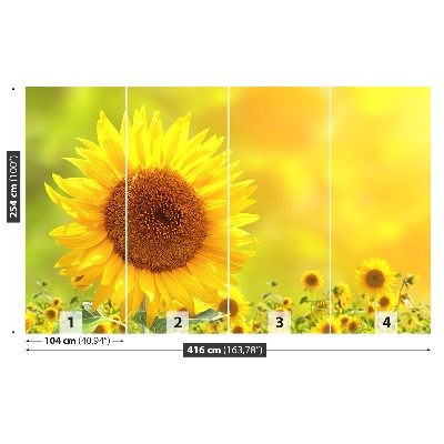 Zelfklevend fotobehang Gele zonnebloemen