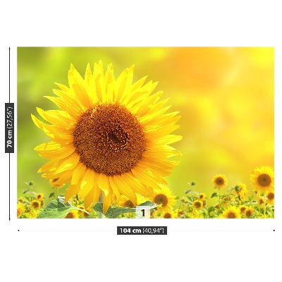 Zelfklevend fotobehang Gele zonnebloemen