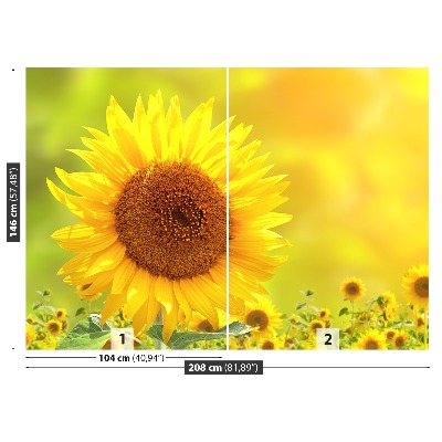 Zelfklevend fotobehang Gele zonnebloemen