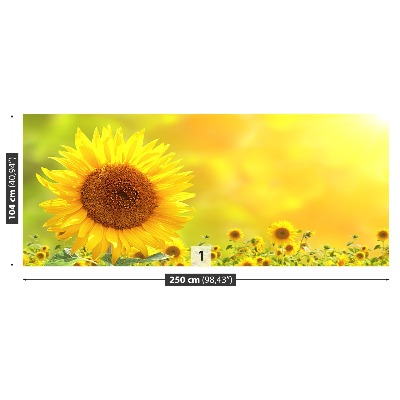 Zelfklevend fotobehang Gele zonnebloemen