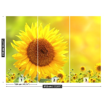 Zelfklevend fotobehang Gele zonnebloemen