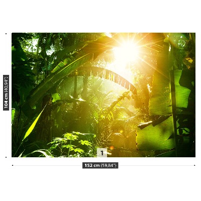 Fotobehang Jungle in vietnam