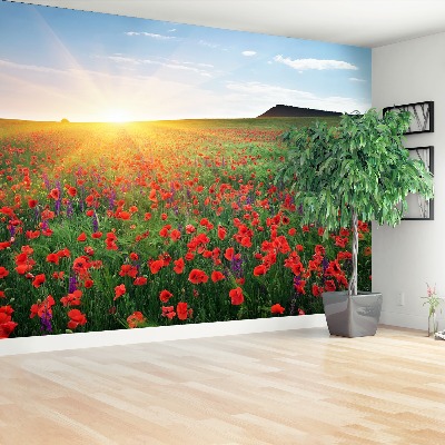 Fotobehang Poppy veld