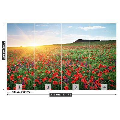 Fotobehang Poppy veld