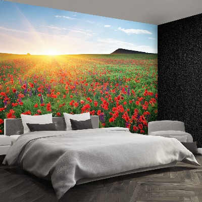 Fotobehang Poppy veld