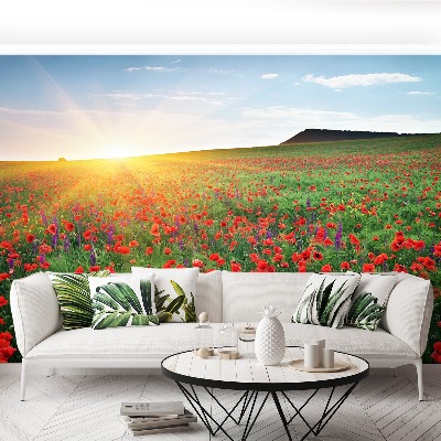 Fotobehang Poppy veld