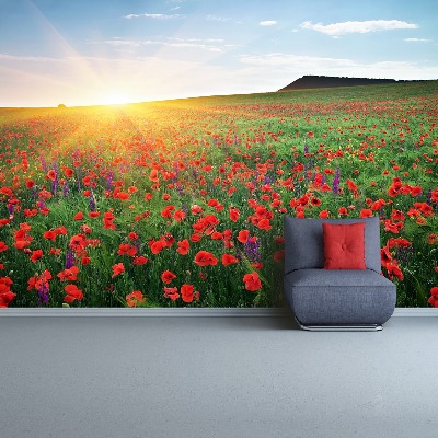 Fotobehang Poppy veld