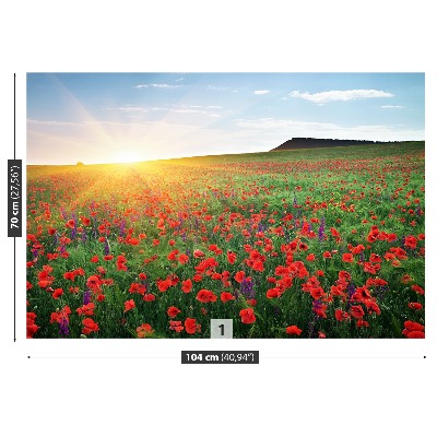 Fotobehang Poppy veld