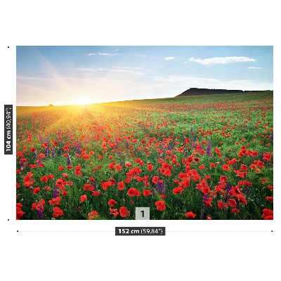 Fotobehang Poppy veld