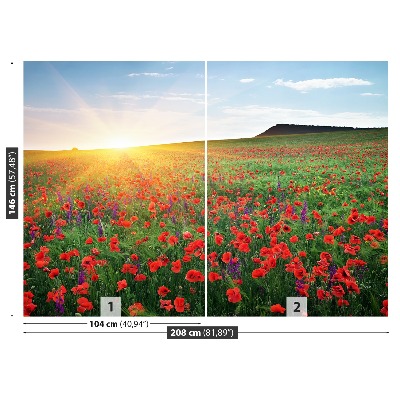 Fotobehang Poppy veld