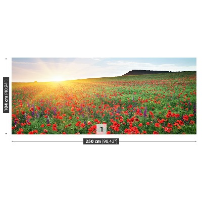 Fotobehang Poppy veld