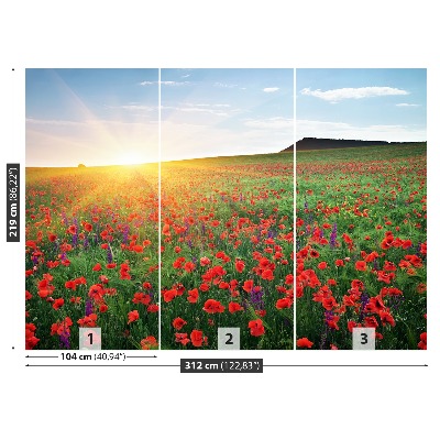 Fotobehang Poppy veld