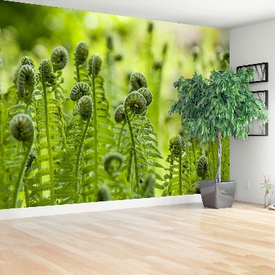 Zelfklevend fotobehang Fern groen