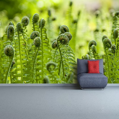 Zelfklevend fotobehang Fern groen