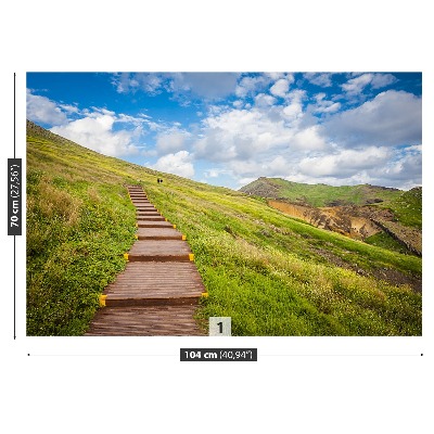 Fotobehang Madeira island