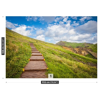 Fotobehang Madeira island