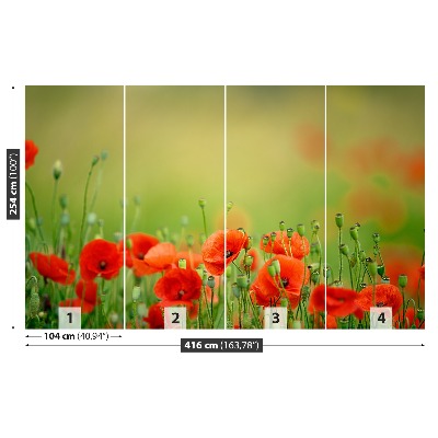 Zelfklevend fotobehang Poppy bloemen