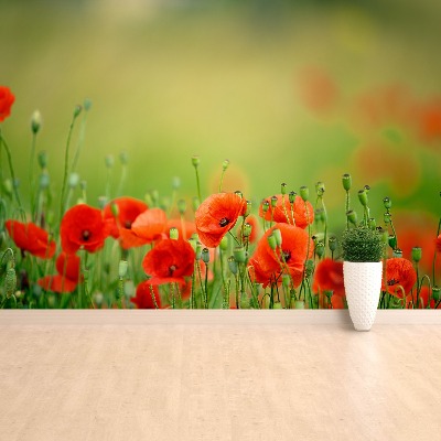 Zelfklevend fotobehang Poppy bloemen