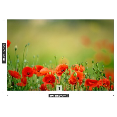 Zelfklevend fotobehang Poppy bloemen