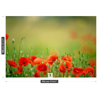 Zelfklevend fotobehang Poppy bloemen