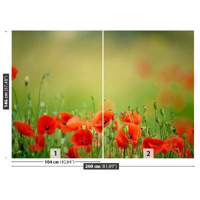 Zelfklevend fotobehang Poppy bloemen