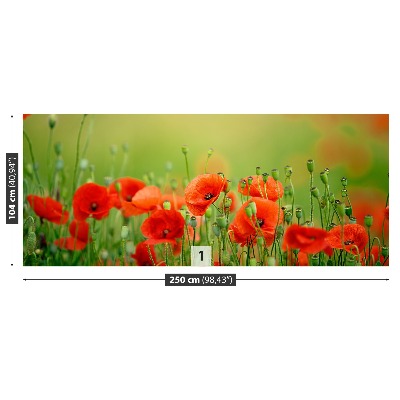 Zelfklevend fotobehang Poppy bloemen