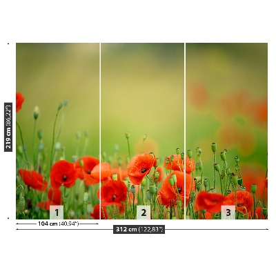 Zelfklevend fotobehang Poppy bloemen