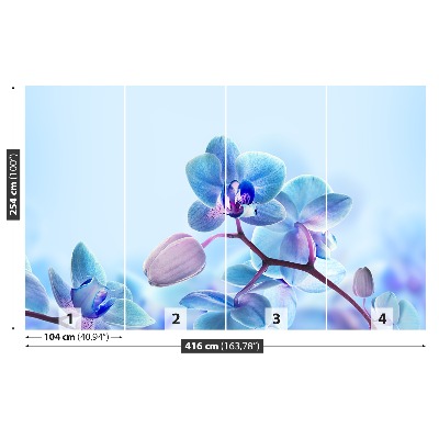 Zelfklevend fotobehang Tropische orchideeën