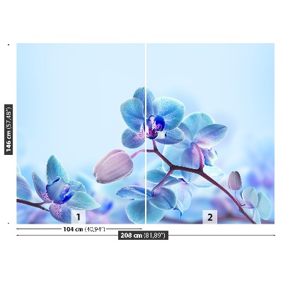 Zelfklevend fotobehang Tropische orchideeën