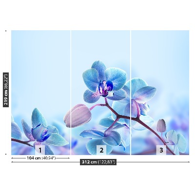 Zelfklevend fotobehang Tropische orchideeën