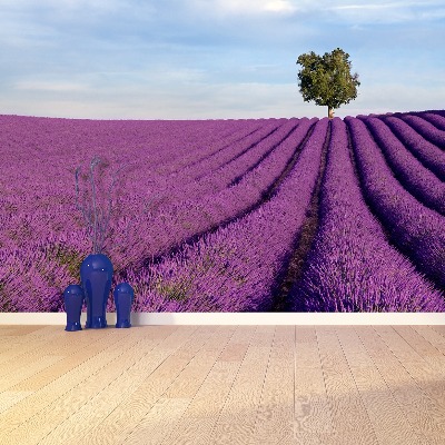 Fotobehang Lavendelveld