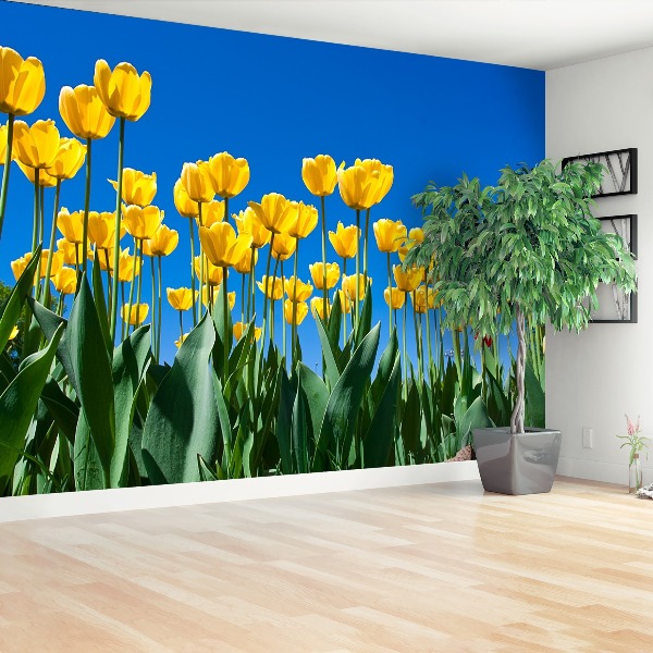 Zelfklevend fotobehang Tulpen bloemen