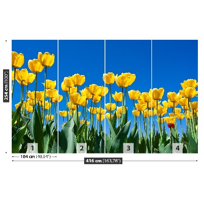 Zelfklevend fotobehang Tulpen bloemen